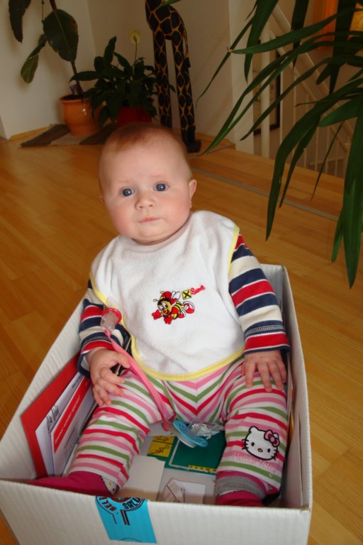 nochimmerinderschachtel.jpg