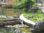 img_2220_small.jpg