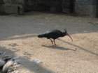 img_2228_small.jpg