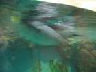 img_2251_small.jpg