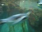 img_2256_small.jpg