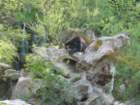 img_2261_small.jpg