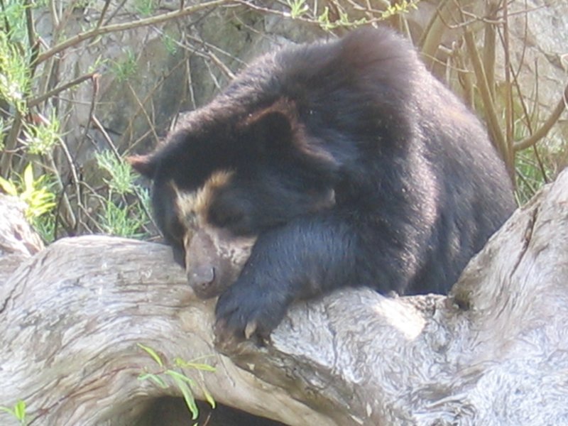 img_2263.jpg