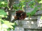 img_2270_small.jpg