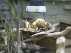 img_2289_small.jpg