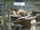 img_2290_small.jpg