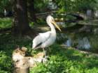 img_2292_small.jpg