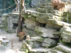 img_2299_small.jpg