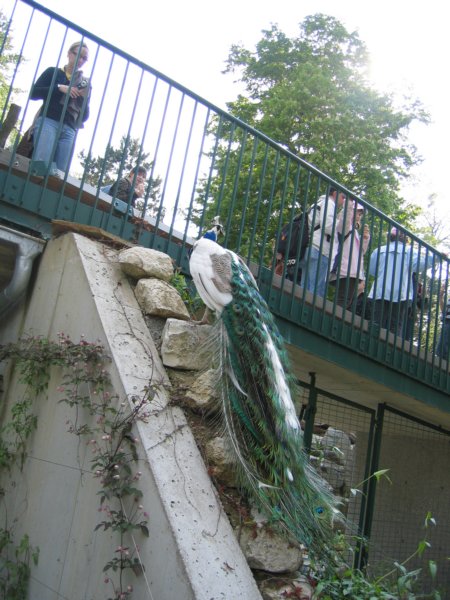 img_2300.jpg