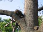 img_2319_small.jpg