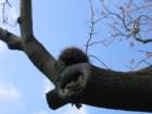 img_2322_small.jpg