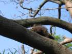 img_2323_small.jpg
