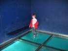 img_2333_small.jpg