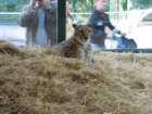 img_2340_small.jpg