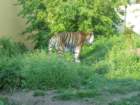 img_2344_small.jpg