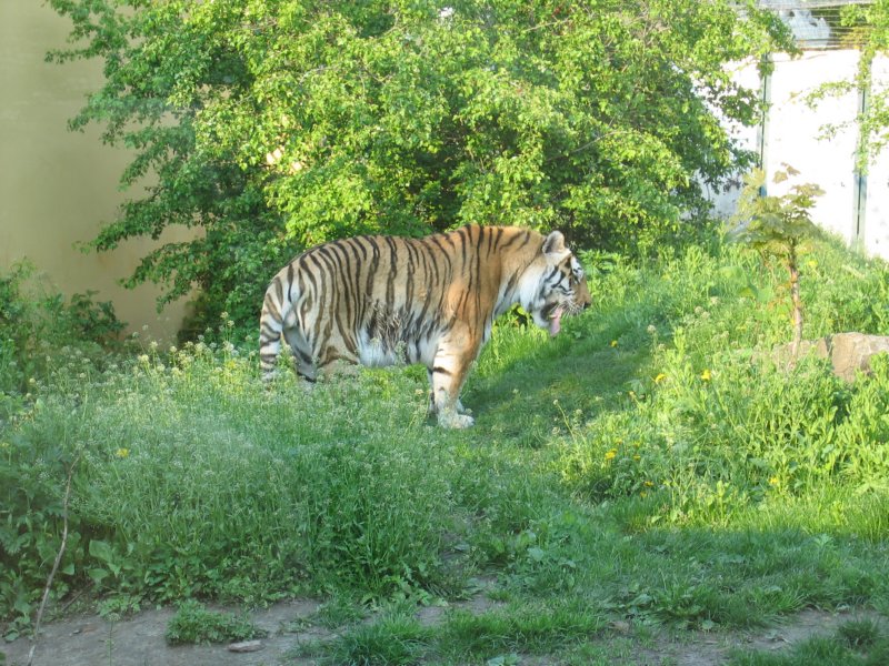 img_2345.jpg