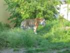 img_2345_small.jpg