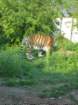 img_2346_small.jpg