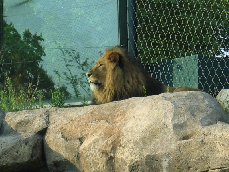 img_2353.jpg