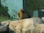 img_2353_small.jpg